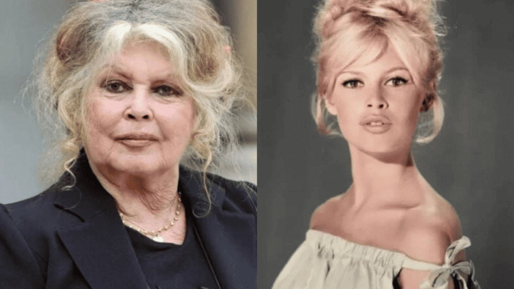 Brigitte Bardot, la despedida silenciosa de un ícono que marcó época