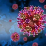 Virus Nipah en India: el brote que preocupa a la OMS Virus Nipah en India: el brote que preocupa a la OMS