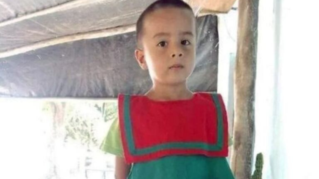Caso Loan Peña: un ambulanciero aseguró que escuchó “gritos desesperados” de un niño durante la tarde de la desaparición